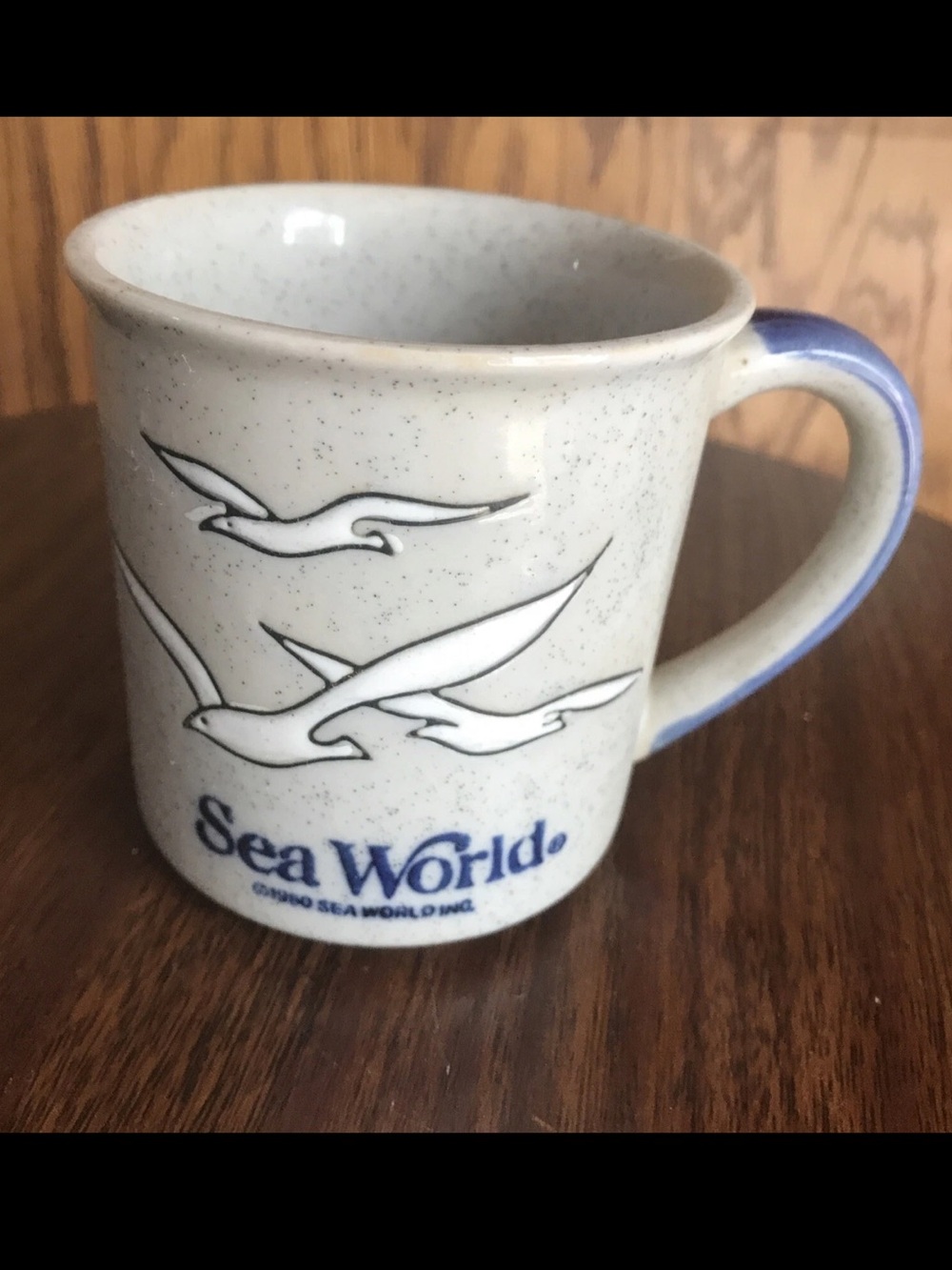 1980 Sea World speckled ceramic mug featuring embossed seagulls